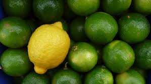 Techlemon